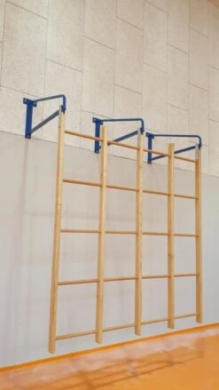 Quadro Svedese A 16 Fori, In Legno Forte, Verniciato, Morale Sport, G340