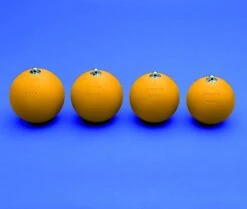 Martello Da Gara Polanik" In Ferro Tornito E Calibrato, S0241"