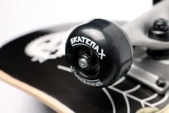 Skateboard Per Adulto Skull, Skate-Max, Skm3102 -Sportive Attrezzature Negozio skull 4