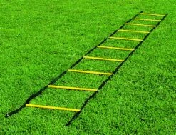 Scaletta Per Allenamento, Con Pioli Rotondi, Da 4 Mt, Barret